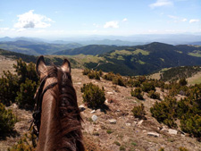 Spain-Pyrenees-Pyrennean Mountain Trail